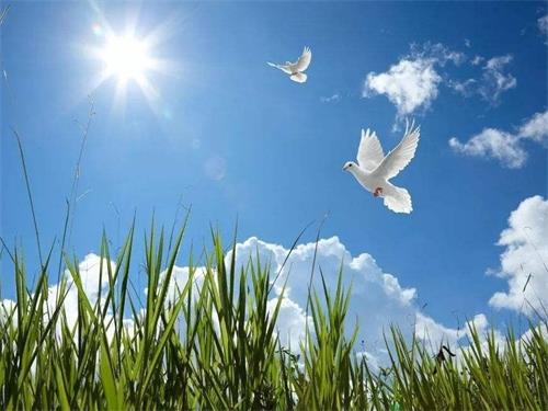 ���P(gu��n)�ڼӿ����M(j��n)�Gɫ�a(ch��n)Ʒ�ľŗl��Ҋ(ji��n)��